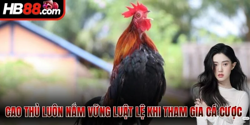 Sảnh Ws168 - Sân Chơi Cá Cược Đỉnh Cao Cho Hội Viên 3 Cao thủ luôn nắm vững luật lệ khi tham gia cá cược