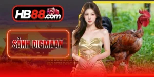 Sảnh Digmaan - Sân Chơi Cá Cược Chọi Kê Cực Kịch Tính