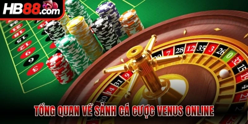 Tổng quan về sảnh cá cược Venus online