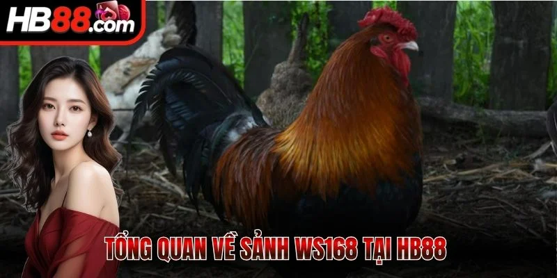 Sảnh Ws168 - Sân Chơi Cá Cược Đỉnh Cao Cho Hội Viên 1 Tổng quan về sảnh Ws168 tại HB88